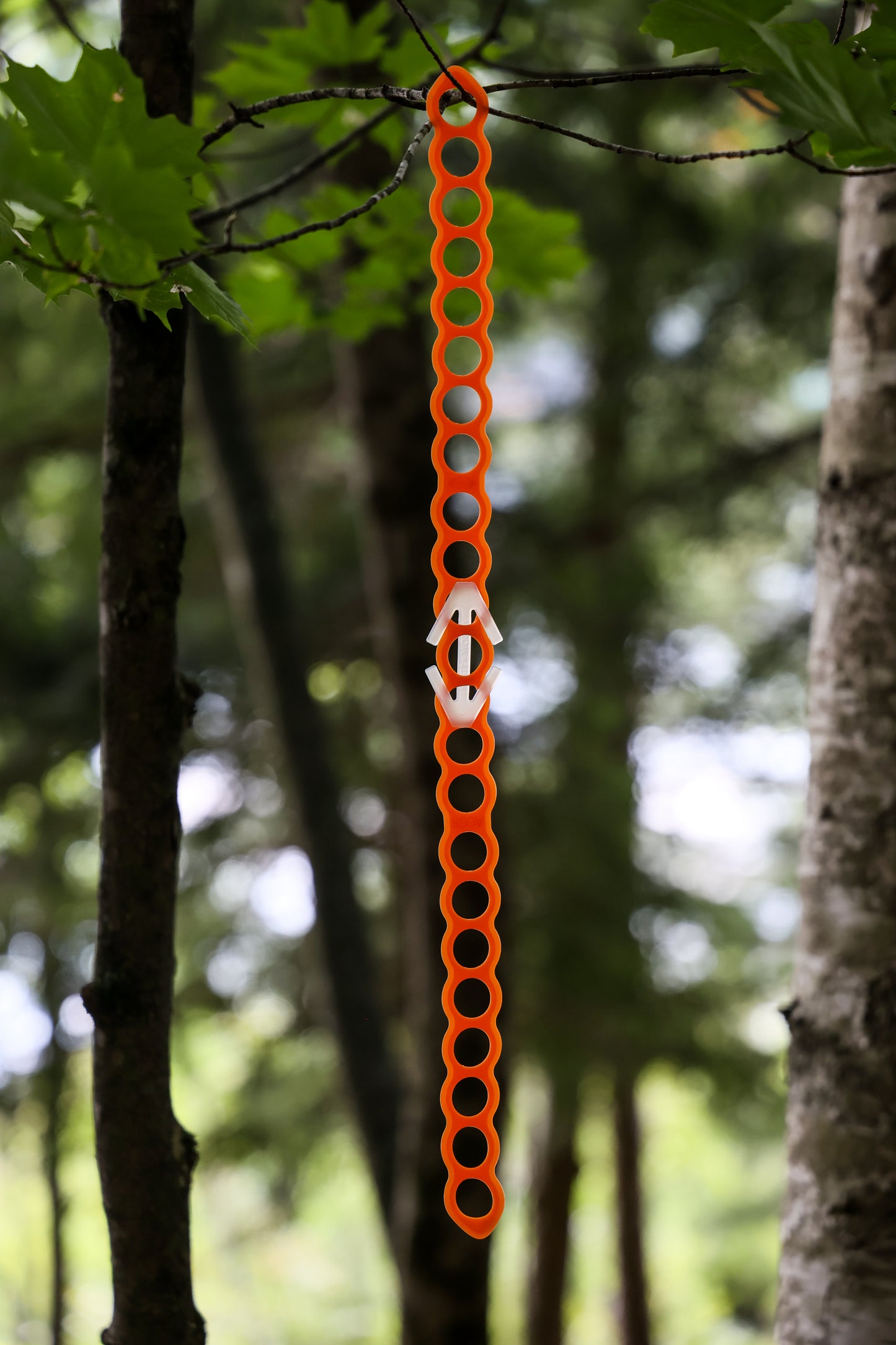 Arrow Strap