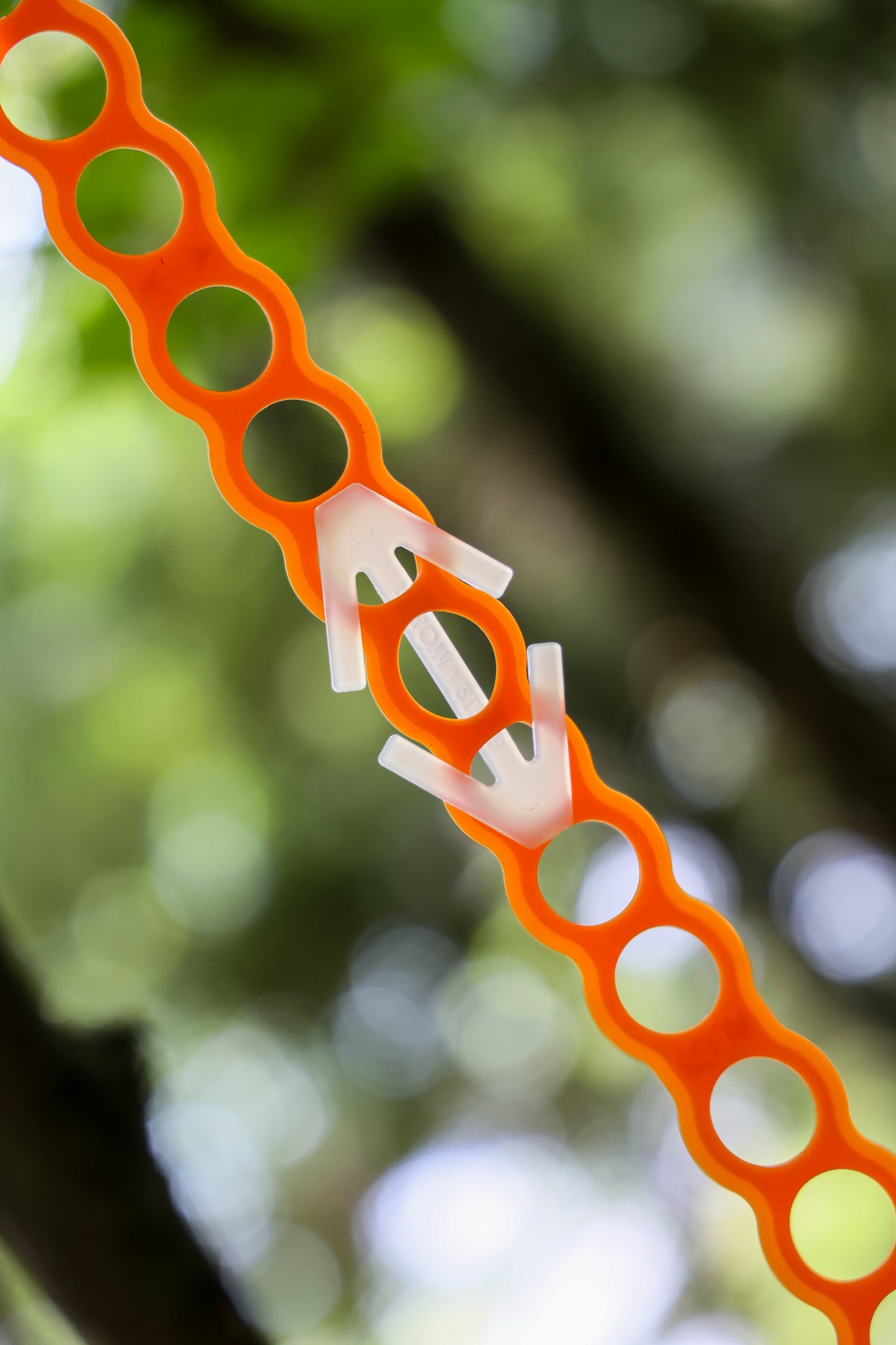 Arrow Strap